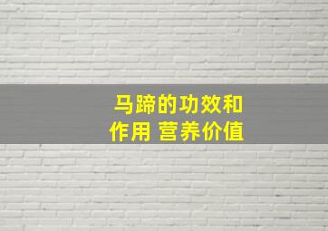 马蹄的功效和作用 营养价值